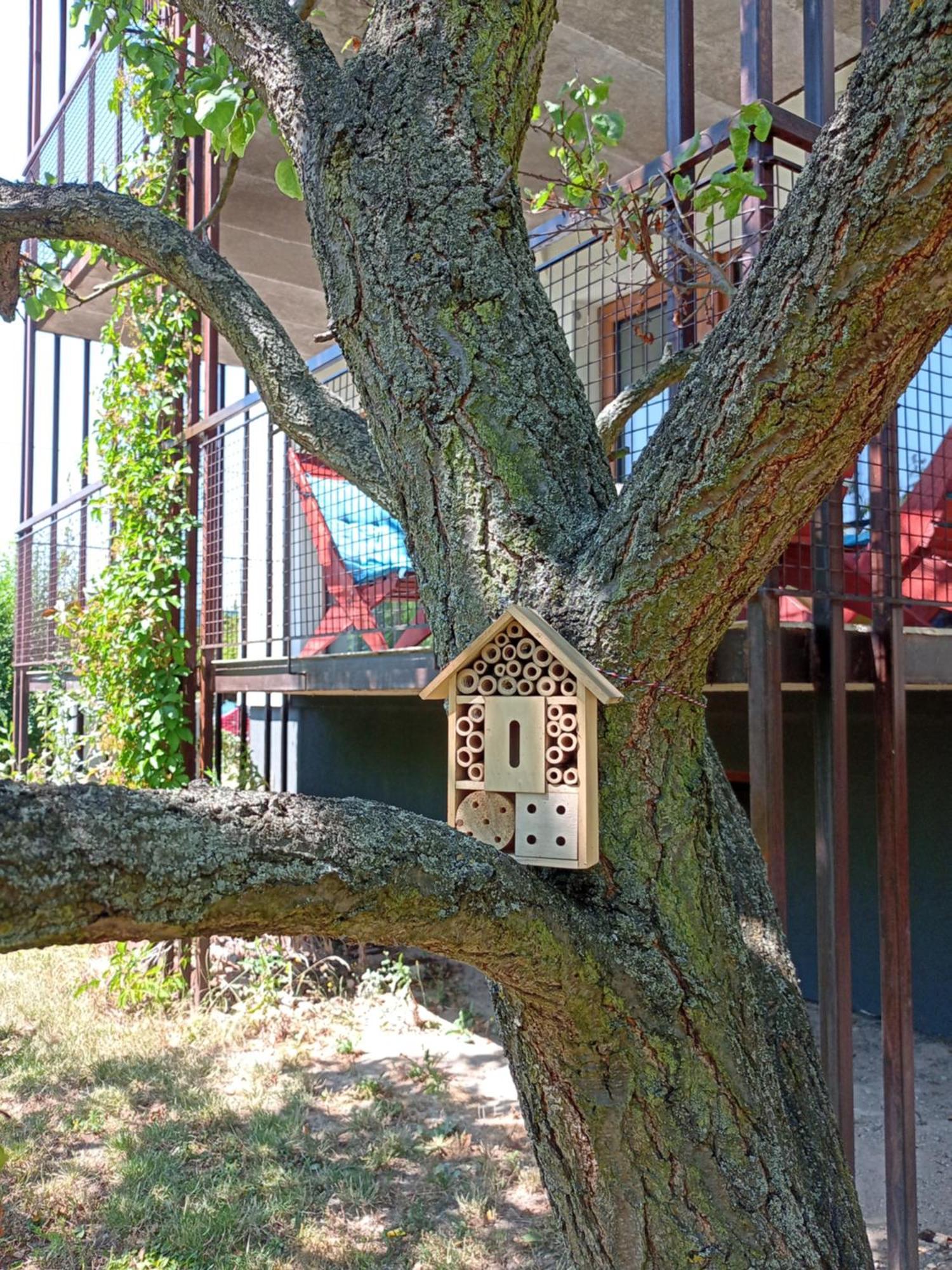 Vila Věkoše - apartmán s terasou a zahradou Hradec Králové Esterno foto
